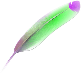 Feather Image
